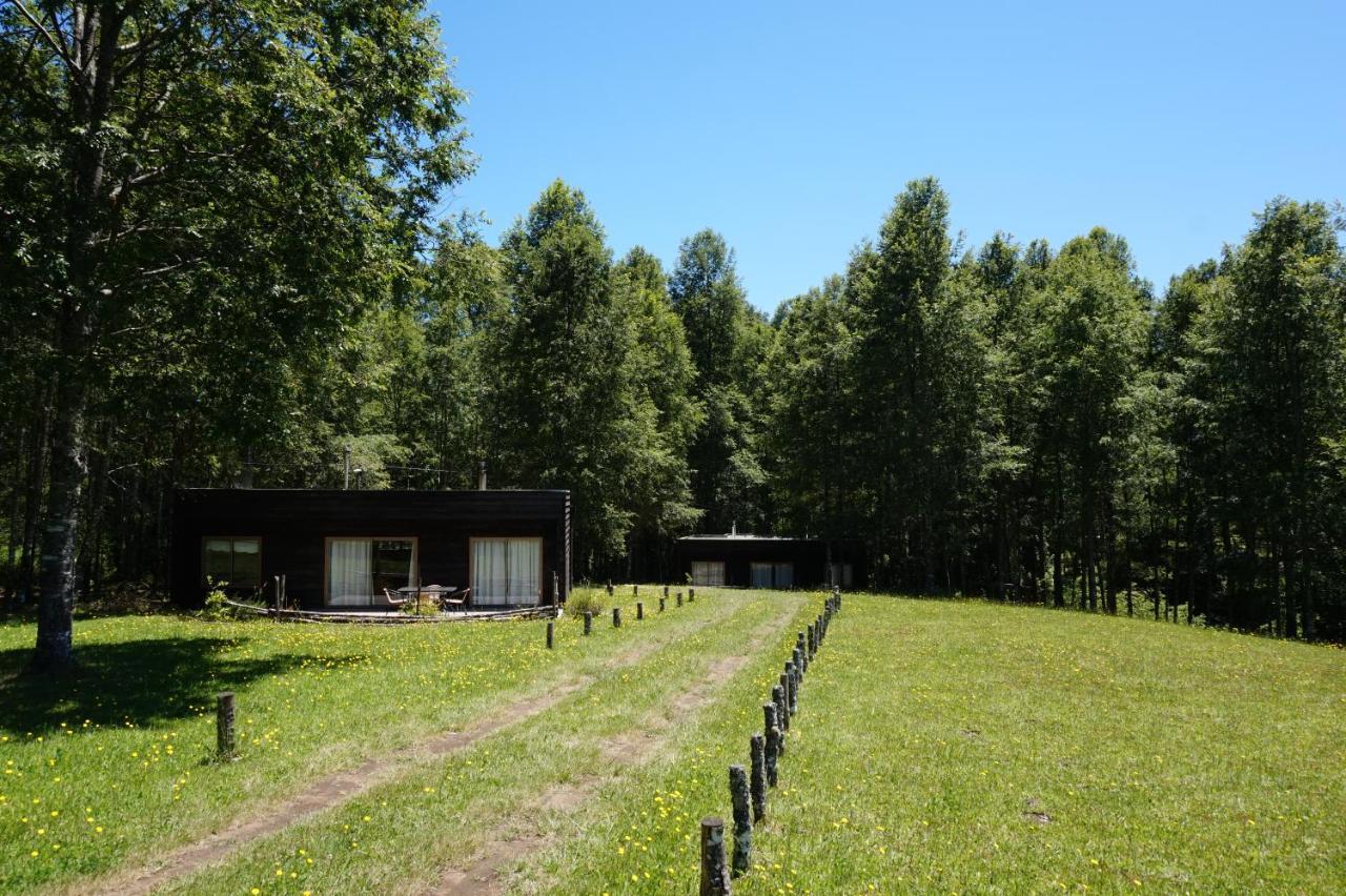 Cabanas Am Berg Pucón Exteriör bild