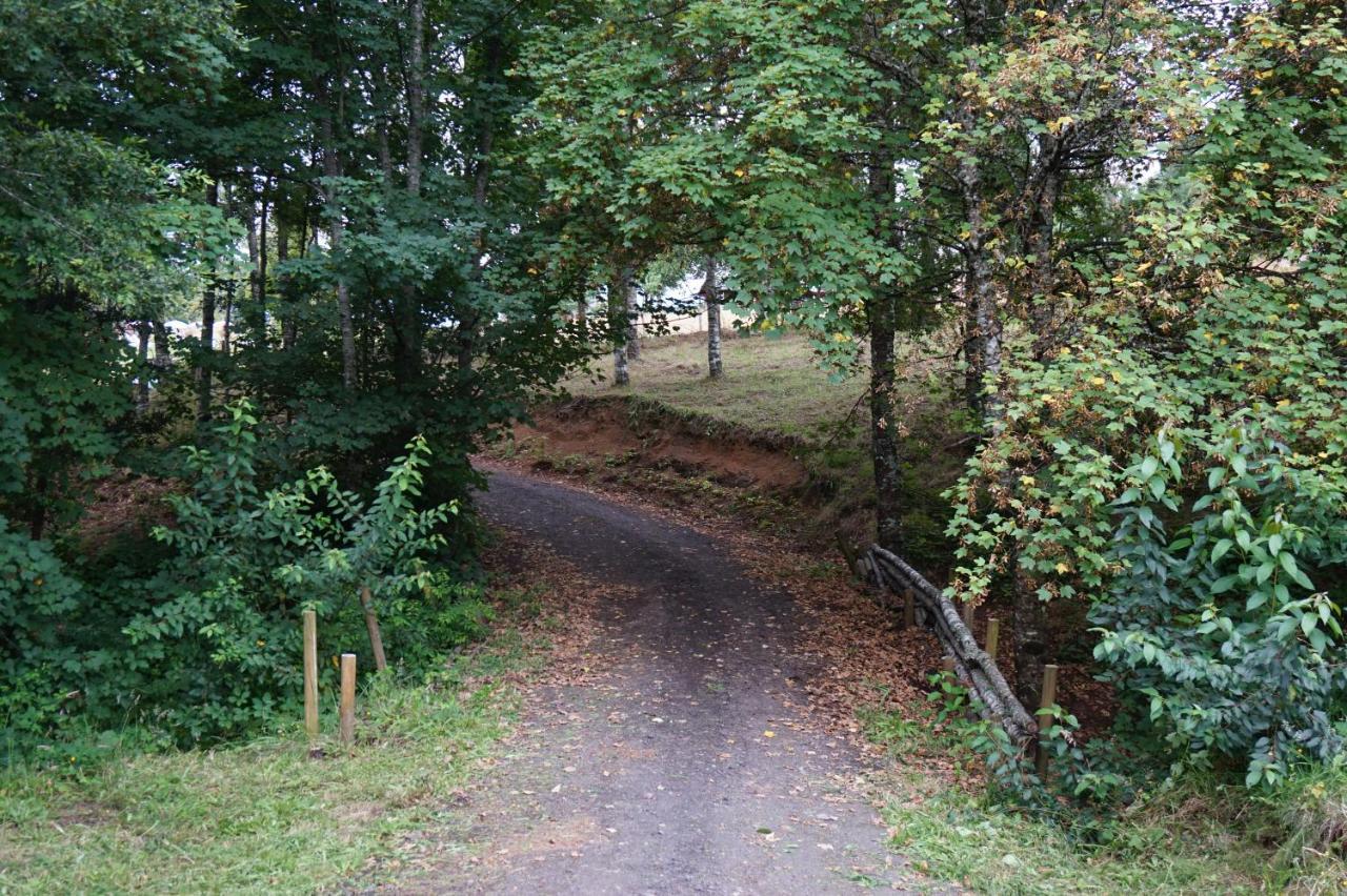 Cabanas Am Berg Pucón Exteriör bild