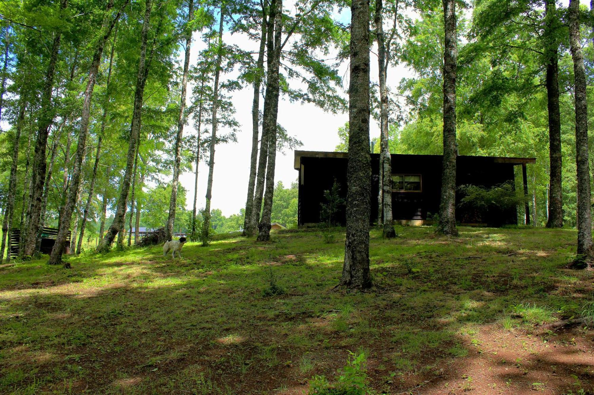 Cabanas Am Berg Pucón Exteriör bild