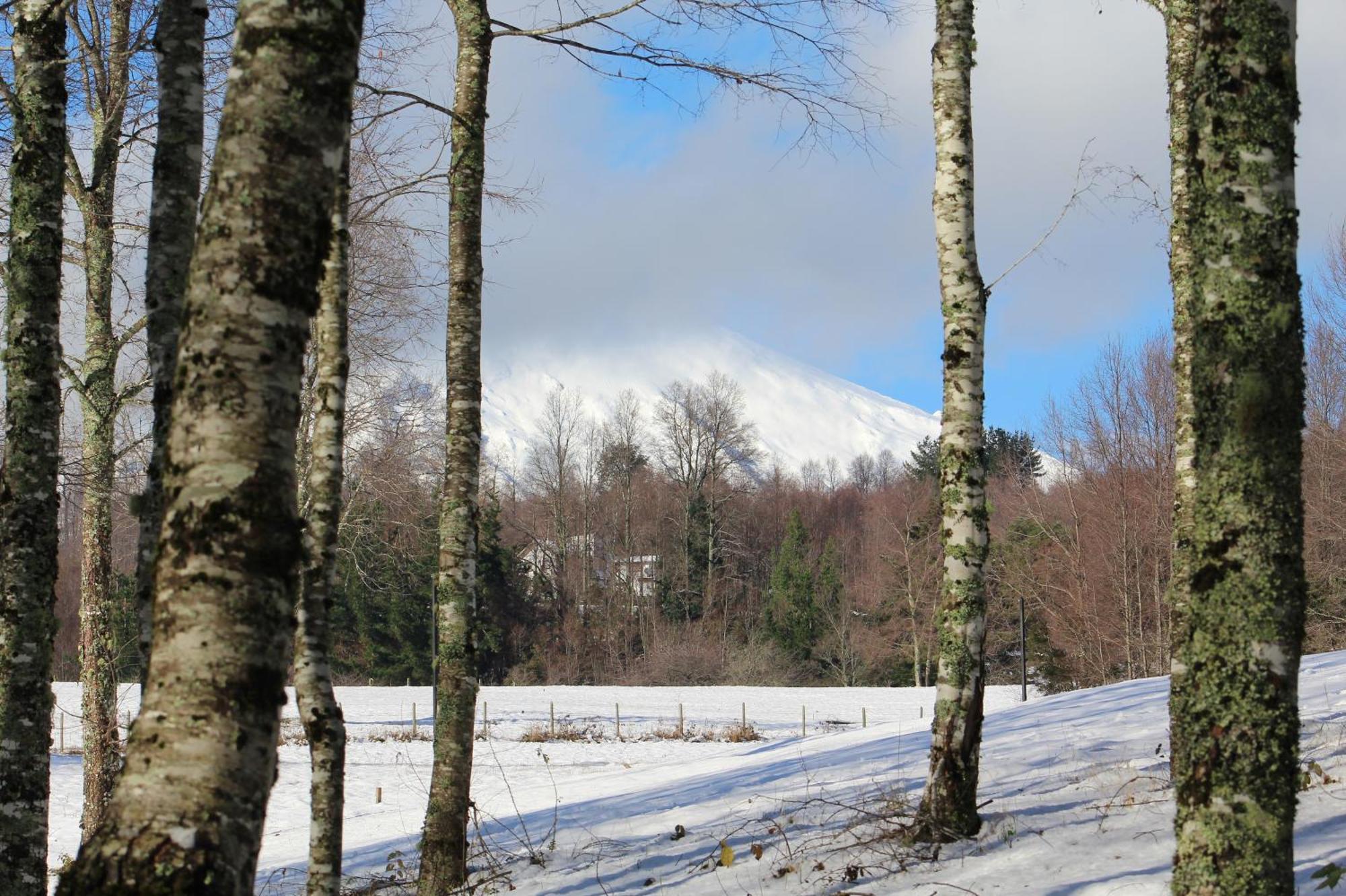 Cabanas Am Berg Pucón Exteriör bild