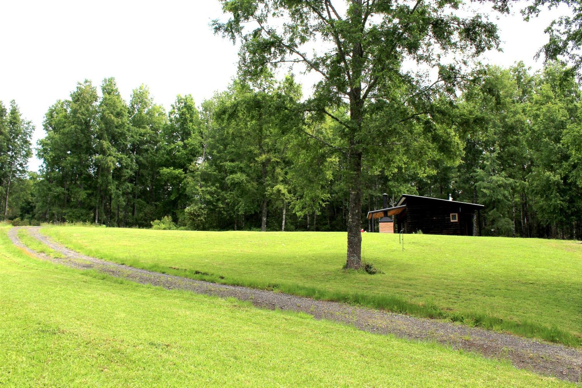 Cabanas Am Berg Pucón Exteriör bild