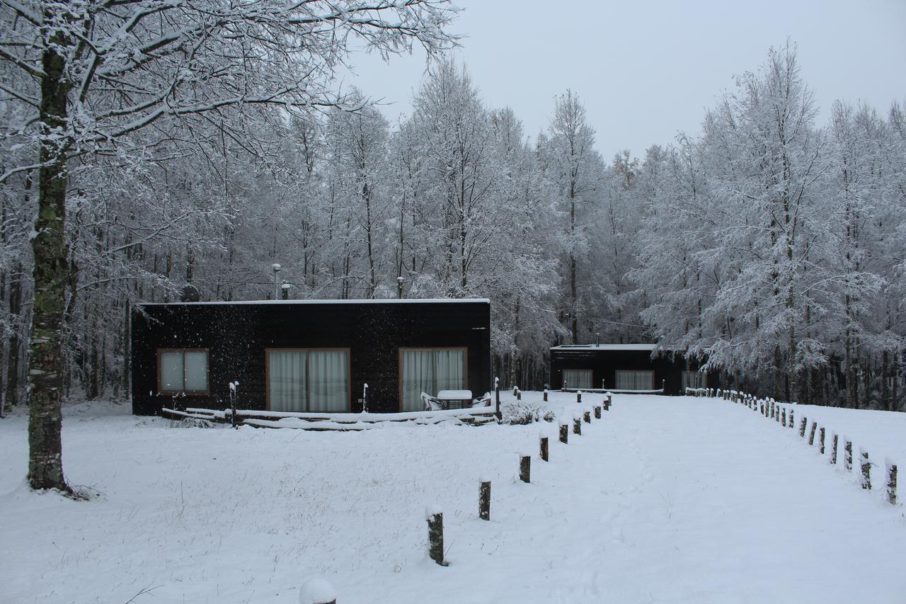 Cabanas Am Berg Pucón Exteriör bild