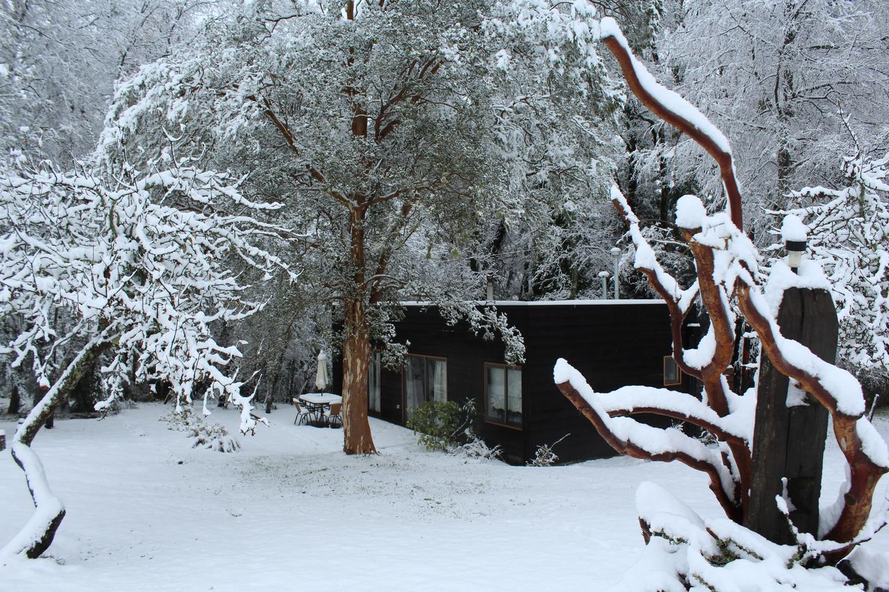 Cabanas Am Berg Pucón Exteriör bild